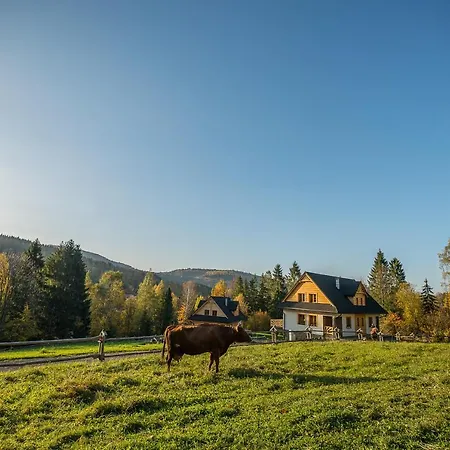 Smagula コルビエルフ